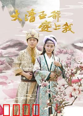 大清王爷爱上我：霸道王爷追妻路